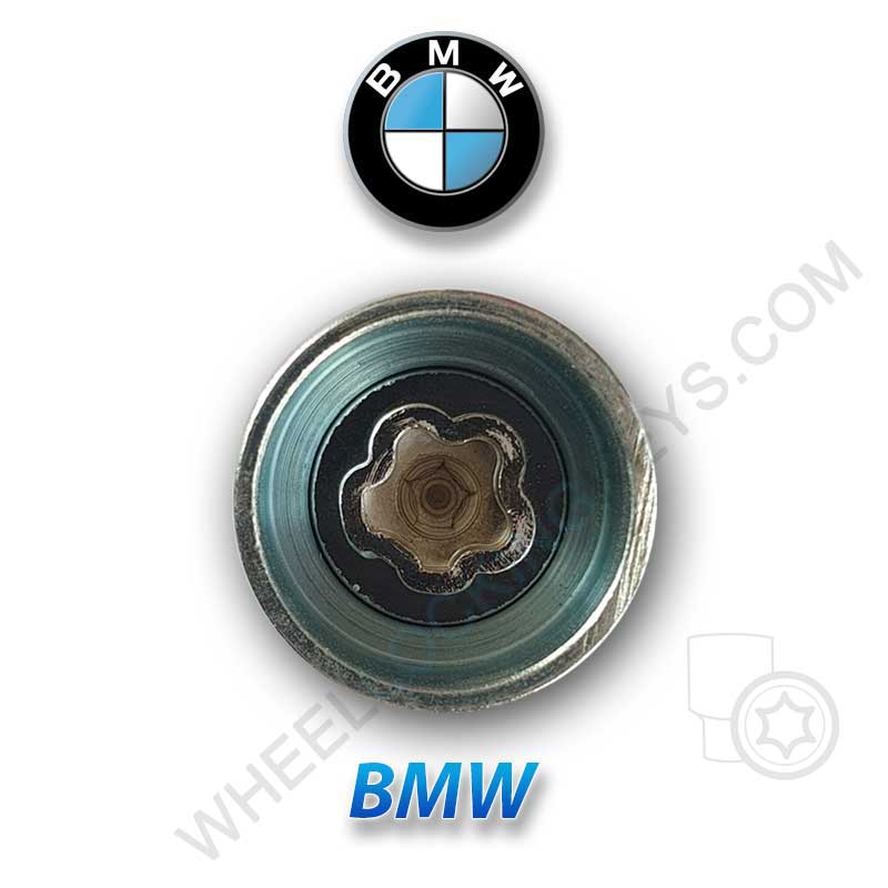 Wheel Locking Wheel Nut Key for BMW LWN Key Number 42