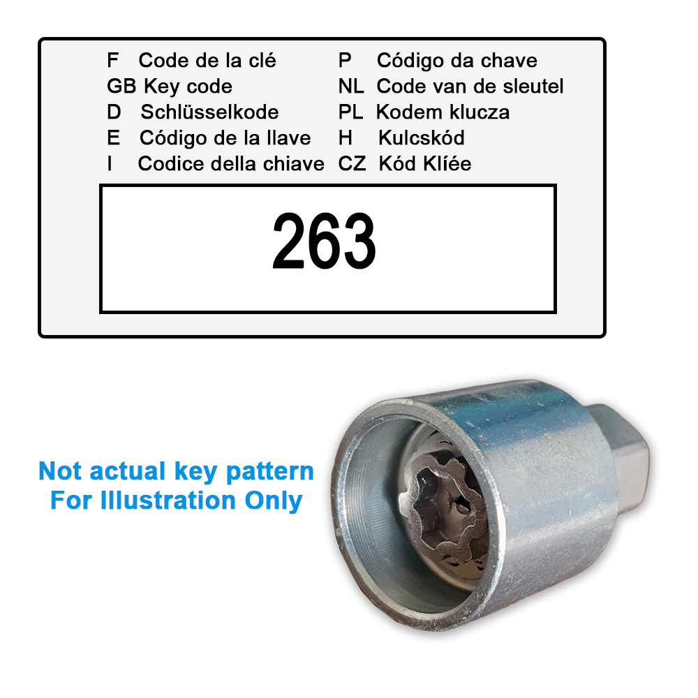DODGE Locking Wheel Nut Key 263 / C